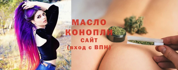 молекула духа Арсеньев