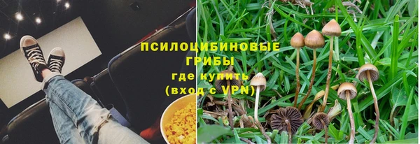 каннабис Алексеевка