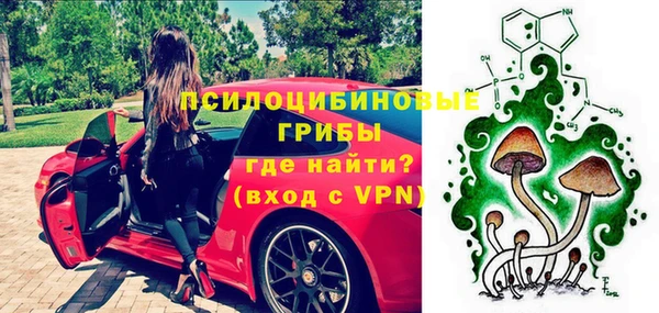 винт Алексин