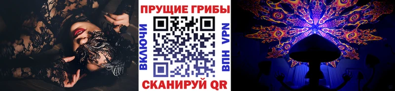 дарк нет Telegram  Полысаево  Галлюциногенные грибы мицелий 